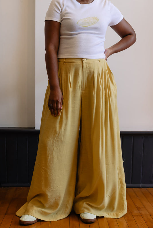 Pleated Wide Leg Pants