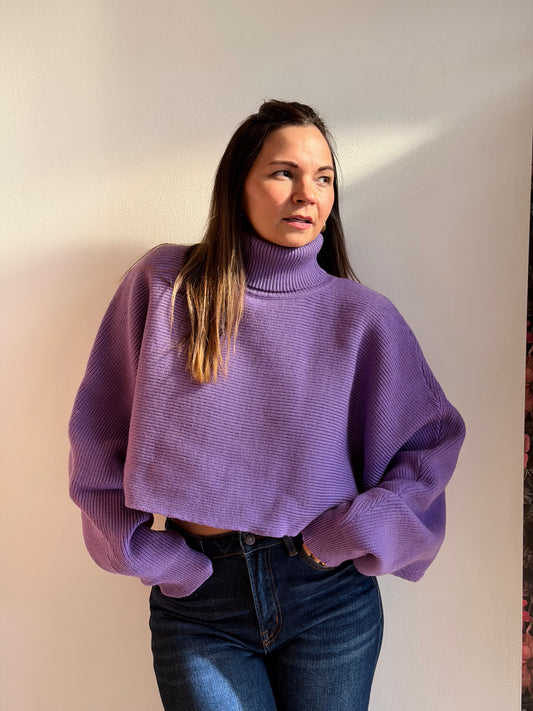 Turtleneck Batwing Sweater