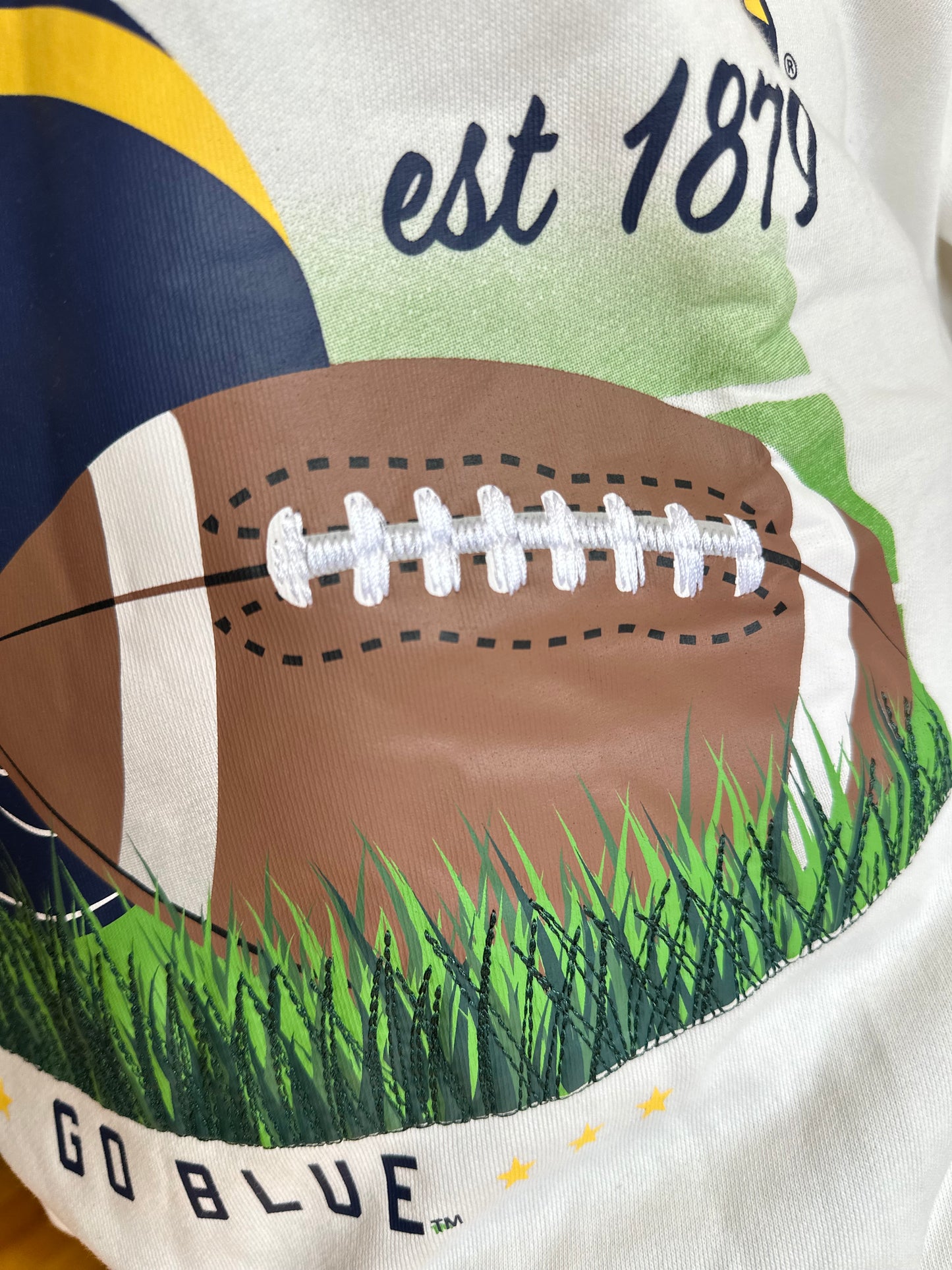 Michigan Embroidered Detail Fleece