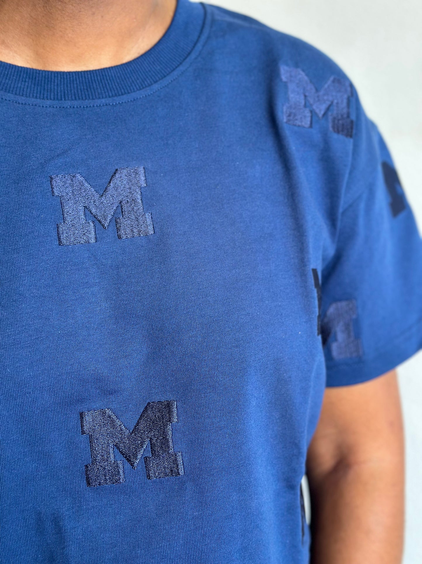 Michigan Embroidered Heavyweight Crop Tee