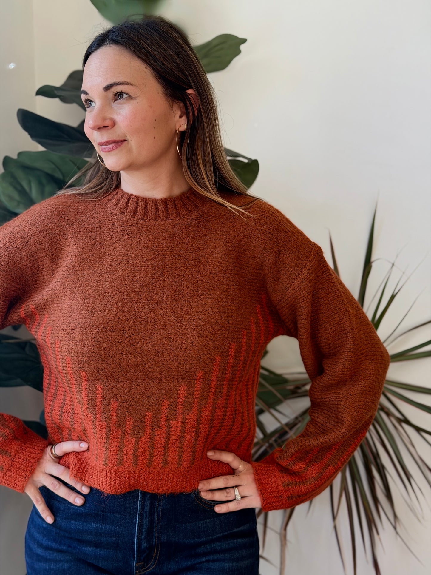 Geometric Balloon Sleeve Sweater