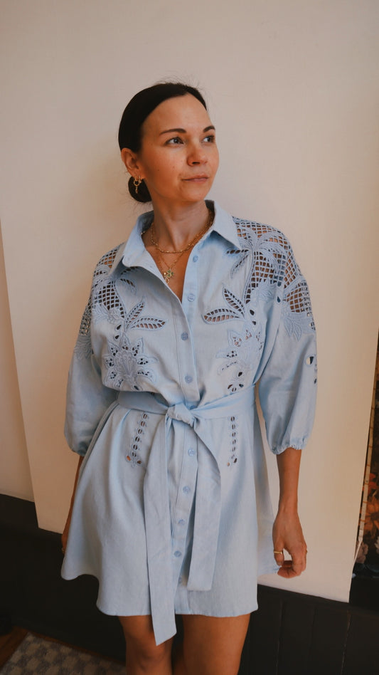 Embroidered Shirt Dress