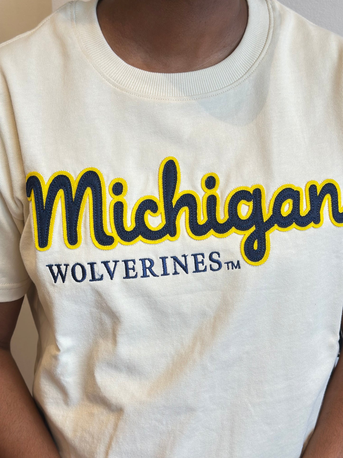 Michigan Stitch Heavyweight Crop Tee