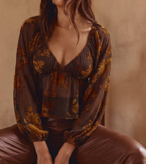 Velvet Burnout Blouse