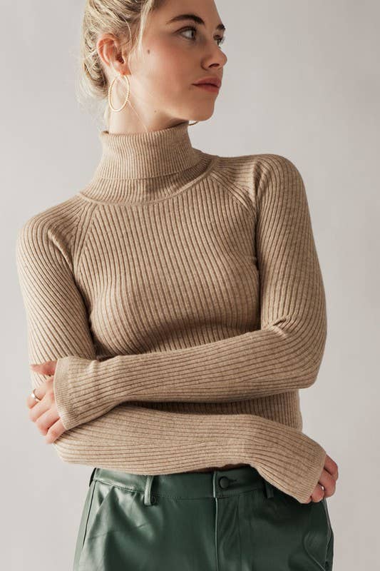 Ribbed Cropped Turtleneck Sweater